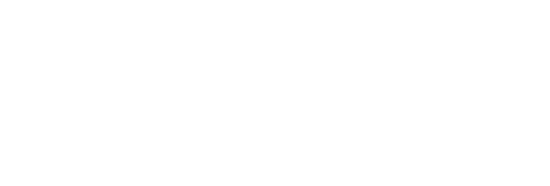 The Quinary Sector of Economy